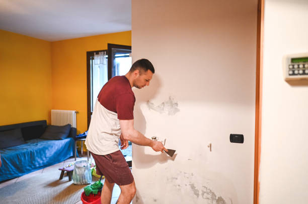 Best Crawl Space Mold Remediation in Hasley Nyon, CA